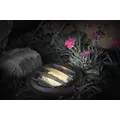 Moonrays Black Metal Well Light