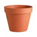 Deroma 10.6" Standard Pot Terra Cotta Case Pack