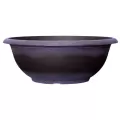 Grower Select 17.00 Sugar Sand Bowl Wisteria 3.3gal 50/CS - 16.9in OD X 6.3in H X 8.5in BD