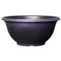 Grower Select 12.00 Sugar Sand Bowl Wisteria 1.6gal 51/CS - 12in OD X 5.5in H X 5.8in BD