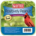 Kaytee 11oz Positively Peanut Suet