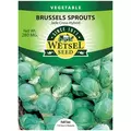 Brussel Sprouts, Jade Cross Hybrid - 280 Mg
