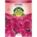 PETUNIA, PINK SUPERCASCAD 30 S