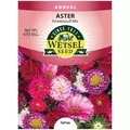ASTER, POWDERPUFF 470 MG