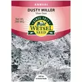 DUSTY MILLER,SILVERDUST 280 MG