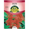 SALVIA, ST. JOHN'S FIRE 470 MG