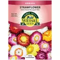 HELICHRYSUM,Strawflower SEMI-DWF Bouquet MX 280 MG