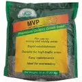 MVP Perennial Ryegrass 16