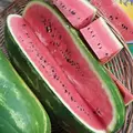 Watermelon, Jubilee - 1/2lb
