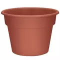 DLN 14.00 COLOR POT CL 20/CS 36CS/PL