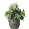 Algreen 16"x14" Mosaic Planter Brown