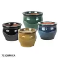 MCarr 8PC 6" Self Watering Round Pot Mixed Asst