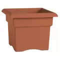 Bloem 14" Veranda Box Terra Cotta