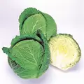 Cabbage, Savoy Ace Imp 5,000 Seed Count