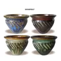 MCarr 50PC Round Belly Pot Planter Plt