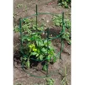 Cassie Cages 24" Tomato Corral Ext Green