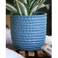 Palm Spring 9" Honey Comb Planter Lbl