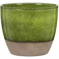 Scheurich 7.5" Flora 920/19 Planter