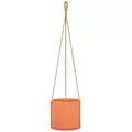 Scheurich 6.25" Papaya 429/16 Hanging Pot