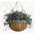 Austram 16" Queen Anne Round Hanging Green