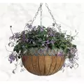 Austram 14" Queen Anne Round Hanging Green