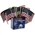 Heath 72ct 4"x6" Stick Flag with Ball Tip Display Pack with UPC