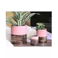 Jewel 4" Cache Pot Rose