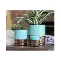Jewel 4" Cache Pot Thb