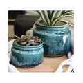 Jewel 4.5" Self Watering Pot Ems