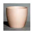 Palm Spring 7.5" Pc Lily Cache MPK