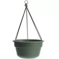 Bloem 12" Durcotta Basil Hanging Basket