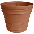 Bloem 12" Rolled Rim Planter Terra Cotta