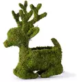 SuperMoss 6" Deco Sitting Reindeer
