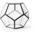 SuperMoss Glass Terrarium Dome