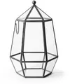 SuperMoss Glass Terrarium Atrium