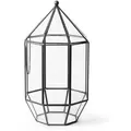 SuperMoss Glass Terrarium Greenhouse