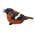 MCarr Oriole Chirper