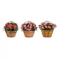 Deer Park Basket Variety Pk 2 Floral Daisy Ribbon Arch