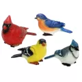 MCarr 4pc Mixed Small Bird Assortment