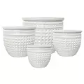 MCarr 6pc Aquapot Planter Pallet White