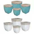 MCarr 16pc Camilla Planter Pallet Mixed Colors