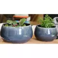 Jewel 8.5" Freeform Bowl Nbl