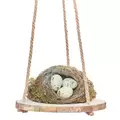 Primitve 10" Hanging Hardwood with Jute Hanger
