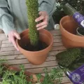 SuperMoss 2.5' Moss Pole Preserved