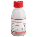Amblyseius californicus 2,000 mites per bottle ( Spider Mite )