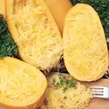 Squash, Vegetable Spaghetti - 5,000 Seed Count