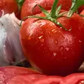 Tomato, Homestead - 10,000 Seed Count