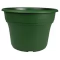 HC 8" Panterra Pot Green
