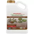 Organocide 1gal Weed Taliator Concentrate