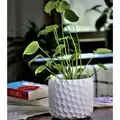Fiesta Art 6.5" Decor Honeycomb Planter